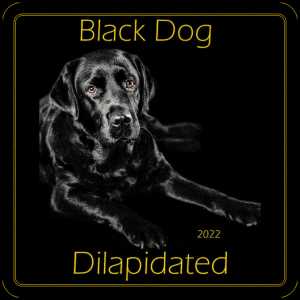 Dιlαριdατεd - Black Dog (Original Mix) (2022) | Андрей Воропаев