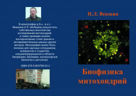 Биофизика митохондрий | Николай Векшин