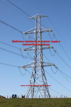 Шаблоны приказов по охране труда и электробезопасности | Евгений Костенков