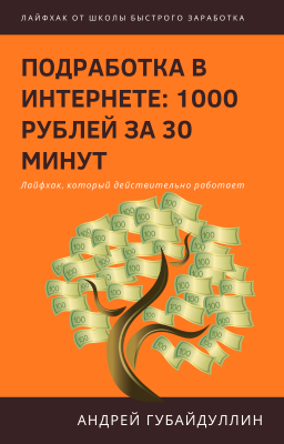 Подработка в интернете: 1000 рублей за 30 минут | Андрей Губайдуллин