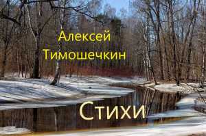 Стихи | Алексей Тимошечкин